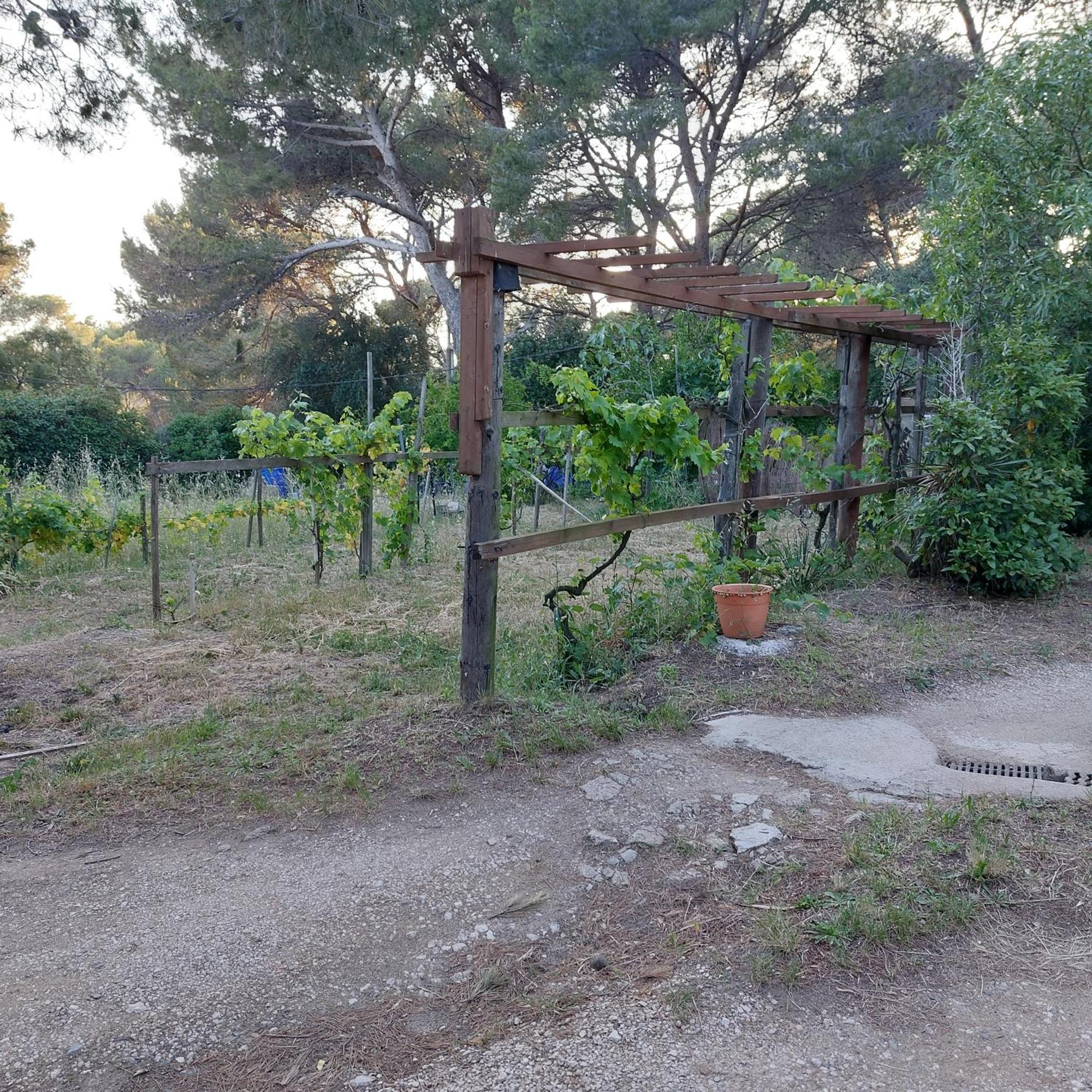 Naturetmer4 Six-Fours-les-Plages Exteriér fotografie